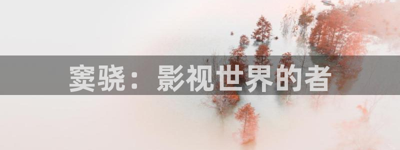 日本天堂在线电影：窦骁：影视世界的者