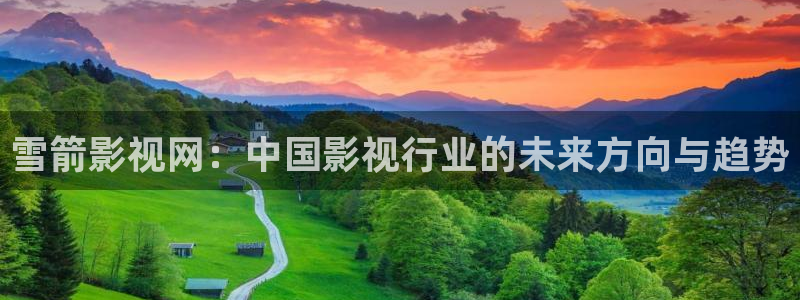 男人的天堂视频：雪箭影视网：中国影视行业的未来方向与趋势