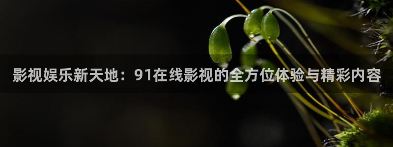 电影天堂\'\'：影视娱乐新天地：91在线影视的全方位体验与精彩内容