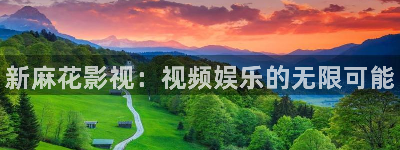 电影天堂张望：新麻花影视：视频娱乐的无限可能
